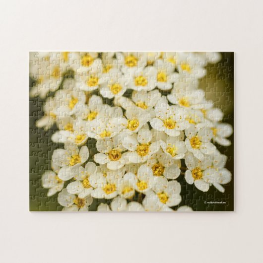 Schoon bruidsboeket-spirea legpuzzel (Horizontaal)