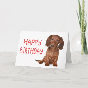 Schoon Dachsund Puppy Hond Liefhebber Gelukkige Ve Kaart