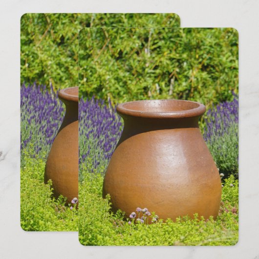 Schoon decoratieve pot (Voorkant / Achterkant)