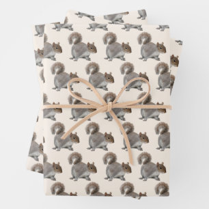 Schoon Eekhoorn Inpakpapier Vel