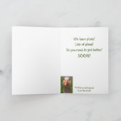 Schoon en bazige gans betert snel kaart (Binnen)