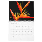 Schoon en eenvoudig, geschikt kalender (Feb 2027)