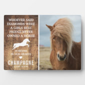 Schoon Herinneringsfoto Paard Monument Sieraad Fotoplaat (voorkant)