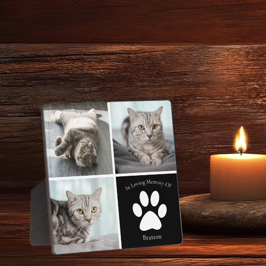 Schoon Kat Minnesymbool Aangepaste Huisdier Aanden Fotoplaat