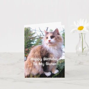 Schoon Kat Verjaardag Zus Kaart