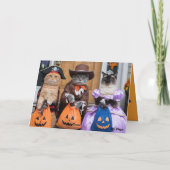 Schoon Kitten Trick-or-Treat Kaart (Achterkant)