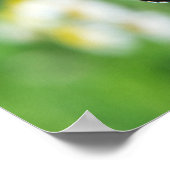 Schoon Monarchvlinder Poster (Hoek)