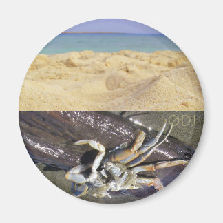 Schoon of Vuil? GDI! Magneet