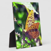 Schoon Oranje en Zwarte Gevlekte Vlinder Fotoplaat (Zijkant)