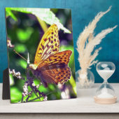 Schoon Oranje en Zwarte Gevlekte Vlinder Fotoplaat (Zijkant)