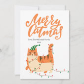 Schoon Oranje Kat Huisdier Liefhebber Kerst Platte Feestdagenkaart (Voorkant)