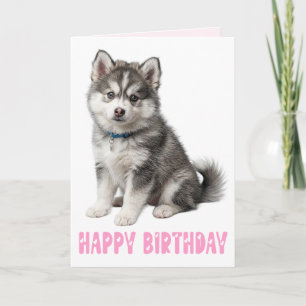 Schoon Pomsky Puppie Hond Liefhebber Roze Verjaard Kaart