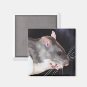 Schoon rat schilderij magneet (Voorkant / Achterkant)