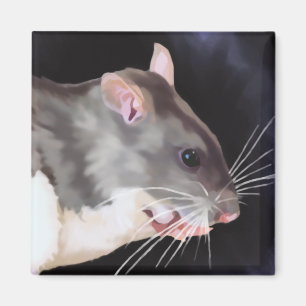 Schoon rat schilderij magneet