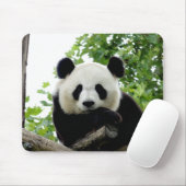 Schoon Reuzenpanda Muismat (Met muis)
