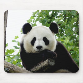 Schoon Reuzenpanda Muismat