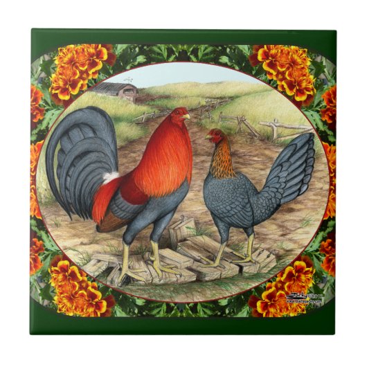 Schoon spelpluimvee tegeltje (Voorkant)