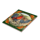 Schoon spelpluimvee tegeltje (Zijkant)