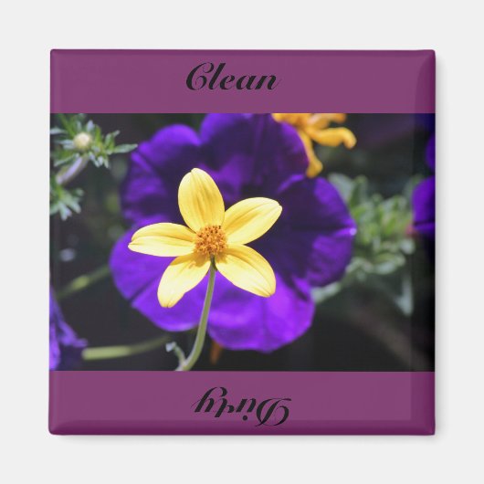 Schoon, vies magneet (Voorkant)