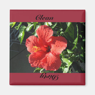 Schoon, vies magneet