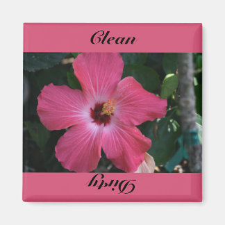 Schoon, vies magneet