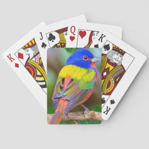 Schoon Vogeldeck Speelkaarten