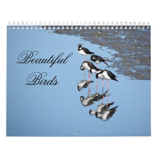 Schoon Vogelen Kalender (Hoes)