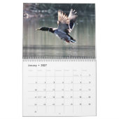 Schoon Vogelen Kalender (Jan 2027)