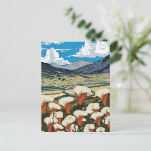 Schoon wilde bloemenweide landschap briefkaart