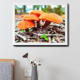 Schoon wilde paddenstoelen bosje in een herfstveld poster
