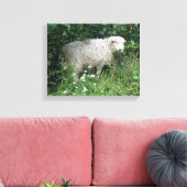 Schoon Witte Fluffy Schaap Eet Canvas Print (Insitu (Woonkamer))
