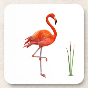 Schoone rode flamingovogel en rietplant op wit bier onderzetter