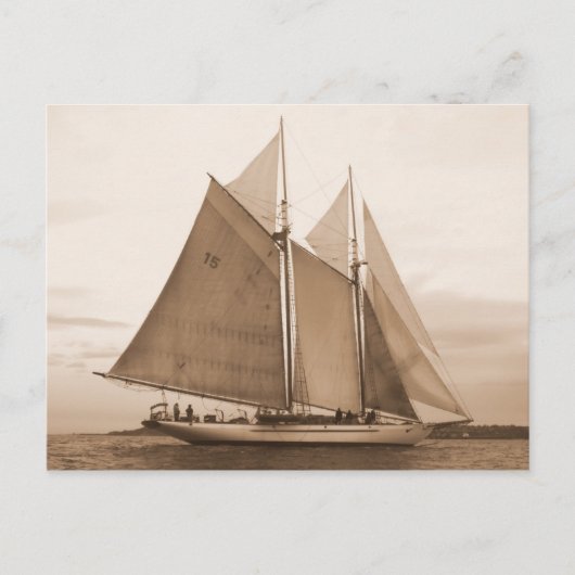 Schooner Adventuress Briefkaart (Voorkant)