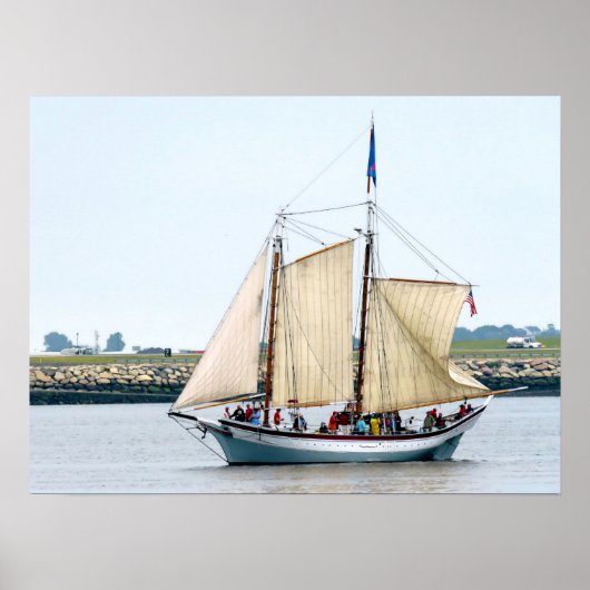 Schooner Ardelle Poster (Voorkant)