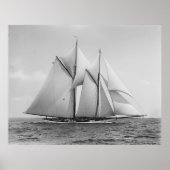 Schooner Mayflower Poster (Voorkant)