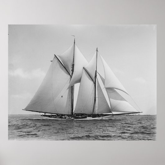 Schooner Mayflower Poster (Voorkant)