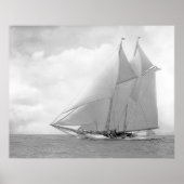 Schooner Yacht America Poster (Voorkant)