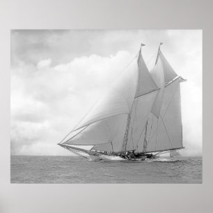 Schooner Yacht America Poster