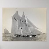 Schooner Yacht Fortuna Poster (Voorkant)