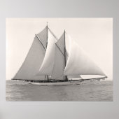 Schooner Yacht Merlin Poster (Voorkant)