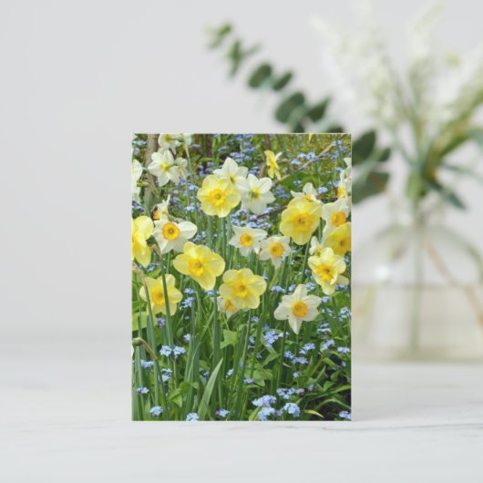 Schoongele daffodiltuin briefkaart (Staand voorkant)