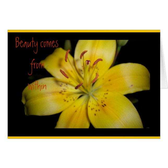 Schoonheid binnen (Voorkant Horizontaal)