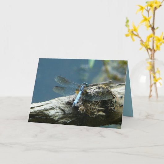 Schoonheid blijft bestaan kaart (Gele Bloem)