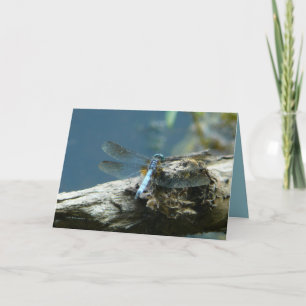 Schoonheid blijft bestaan kaart