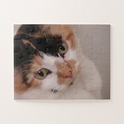 Schoonheid Calico Kat Legpuzzel (Horizontaal)