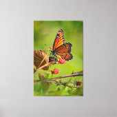 Schoonheid canvas afdruk (Voorkant)