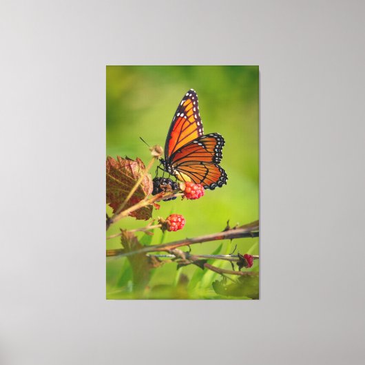 Schoonheid canvas afdruk (Voorkant)