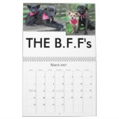 schoonheid-de-labrador-terugwinning_42196_2010-02- kalender (Mar 2027)