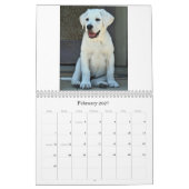 schoonheid-de-labrador-terugwinning_42196_2010-02- kalender (Feb 2027)