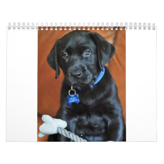 schoonheid-de-labrador-terugwinning_42196_2010-02- kalender (Hoes)